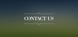 Contact Us | Kilsyth Tree Surgeons Kilsyth